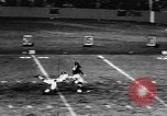 Standbild American Football Match New York United States USA, 1957, aus Sekunde 33 historischem Filmmaterial Videoclip 65675069761