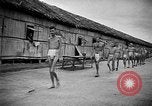 Image of Japanese troops surrender Singapore, 1945, second 45 stock footage video 65675069765