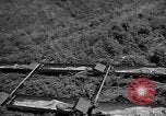 Image of attack sleds Italy, 1945, second 19 stock footage video 65675069768