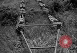 Image of attack sleds Italy, 1945, second 21 stock footage video 65675069768