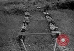 Image of attack sleds Italy, 1945, second 23 stock footage video 65675069768