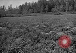 Image of attack sleds Italy, 1945, second 29 stock footage video 65675069768