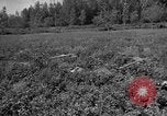 Image of attack sleds Italy, 1945, second 30 stock footage video 65675069768