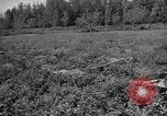 Image of attack sleds Italy, 1945, second 31 stock footage video 65675069768