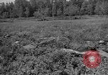 Image of attack sleds Italy, 1945, second 32 stock footage video 65675069768