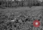 Image of attack sleds Italy, 1945, second 34 stock footage video 65675069768