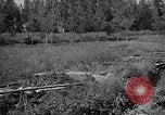 Image of attack sleds Italy, 1945, second 42 stock footage video 65675069768