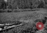 Image of attack sleds Italy, 1945, second 43 stock footage video 65675069768