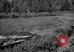 Image of attack sleds Italy, 1945, second 44 stock footage video 65675069768
