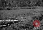 Image of attack sleds Italy, 1945, second 45 stock footage video 65675069768
