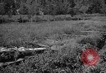 Image of attack sleds Italy, 1945, second 46 stock footage video 65675069768