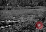 Image of attack sleds Italy, 1945, second 47 stock footage video 65675069768