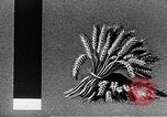 Standbild Marshall Plan Europa, 1948, aus Sekunde 33 historischem Filmmaterial Videoclip 65675069771