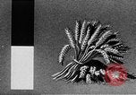 Standbild Marshall Plan Europa, 1948, aus Sekunde 35 historischem Filmmaterial Videoclip 65675069771