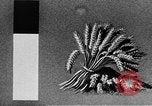 Standbild Marshall Plan Europa, 1948, aus Sekunde 36 historischem Filmmaterial Videoclip 65675069771