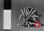 Standbild Marshall Plan Europa, 1948, aus Sekunde 37 historischem Filmmaterial Videoclip 65675069771
