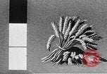 Standbild Marshall Plan Europa, 1948, aus Sekunde 38 historischem Filmmaterial Videoclip 65675069771
