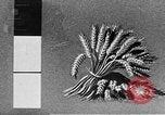 Standbild Marshall Plan Europa, 1948, aus Sekunde 39 historischem Filmmaterial Videoclip 65675069771