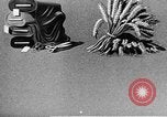 Standbild Marshall Plan Europa, 1948, aus Sekunde 43 historischem Filmmaterial Videoclip 65675069771