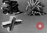 Standbild Marshall Plan Europa, 1948, aus Sekunde 46 historischem Filmmaterial Videoclip 65675069771