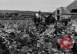 Image of Marshall Plan Europe, 1949, second 15 stock footage video 65675069772