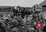 Image of Marshall Plan Europe, 1949, second 16 stock footage video 65675069772