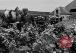 Image of Marshall Plan Europe, 1949, second 17 stock footage video 65675069772