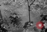 Image of Marshall Plan Europe, 1949, second 22 stock footage video 65675069772