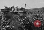 Image of Marshall Plan Europe, 1949, second 24 stock footage video 65675069772