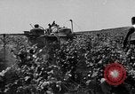 Image of Marshall Plan Europe, 1949, second 27 stock footage video 65675069772