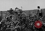 Image of Marshall Plan Europe, 1949, second 28 stock footage video 65675069772