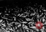 Image of Marshall Plan Europe, 1949, second 47 stock footage video 65675069772