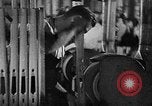 Standbild Deutsche Rüstungsproduktion Deutschland, 1941, aus Sekunde 50 historischem Filmmaterial Videoclip 65675069773