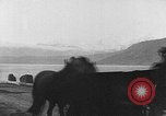 Immagine di Invasione della Norvegia e Danimarca La Scandinavia, 1942, secondo 6 filmato di repertorio 65675069776