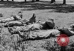 Image of Soviet Civil Defense training in World War II Soviet Union, 1942, second 8 stock footage video 65675069786