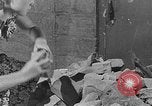 Image of Soviet Civil Defense training in World War II Soviet Union, 1942, second 51 stock footage video 65675069786
