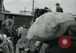 Image of Italian refugees Naples Italy, 1944, second 61 stock footage video 65675069801