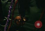 Immagine di Hippies New Orleans Louisiana USA, 1965, secondo 6 filmato di repertorio 65675069822