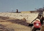 Image of invasion of Normandy Normandy France, 1944, second 24 stock footage video 65675069829