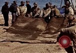 Image of invasion of Normandy Normandy France, 1944, second 27 stock footage video 65675069829