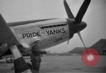 Image of P-51 Mustang European Theater, 1944, second 56 stock footage video 65675069835
