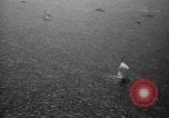 Image of America’s Cup Newport Rhode Island USA, 1937, second 37 stock footage video 65675069860