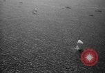 Image of America’s Cup Newport Rhode Island USA, 1937, second 38 stock footage video 65675069860