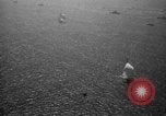 Image of America’s Cup Newport Rhode Island USA, 1937, second 39 stock footage video 65675069860