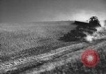 Standbild Weizen ernten Walla Walla Washington USA, 1937, aus Sekunde 9 historischem Filmmaterial Videoclip 65675069866