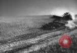 Standbild Weizen ernten Walla Walla Washington USA, 1937, aus Sekunde 11 historischem Filmmaterial Videoclip 65675069866
