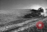 Standbild Weizen ernten Walla Walla Washington USA, 1937, aus Sekunde 12 historischem Filmmaterial Videoclip 65675069866