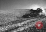 Standbild Weizen ernten Walla Walla Washington USA, 1937, aus Sekunde 13 historischem Filmmaterial Videoclip 65675069866
