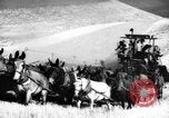 Standbild Weizen ernten Walla Walla Washington USA, 1937, aus Sekunde 17 historischem Filmmaterial Videoclip 65675069866