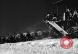 Standbild Weizen ernten Walla Walla Washington USA, 1937, aus Sekunde 32 historischem Filmmaterial Videoclip 65675069866